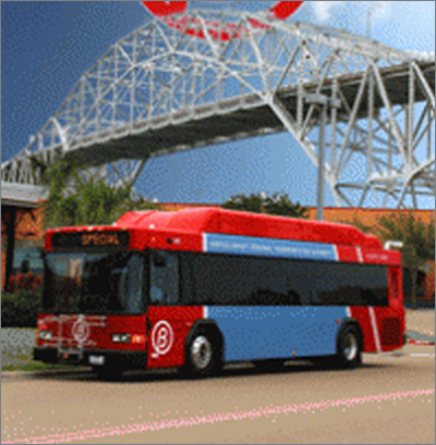 bus